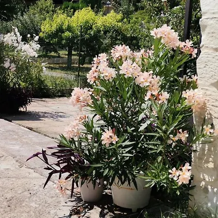 Country house Sapir Mаison -